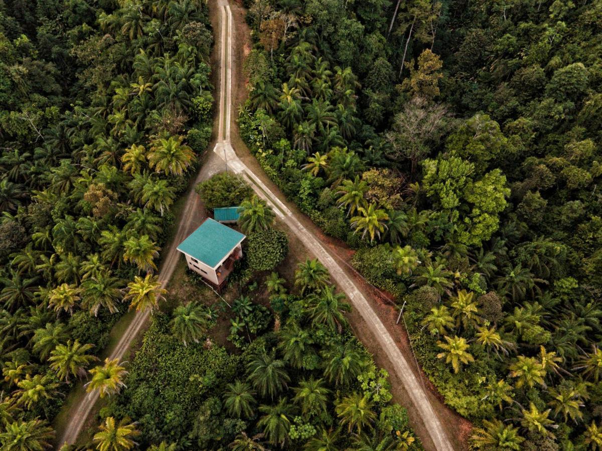 Corcovado Private Villas - Corcovado Private Reserve Puerto Jiménez Exterior foto